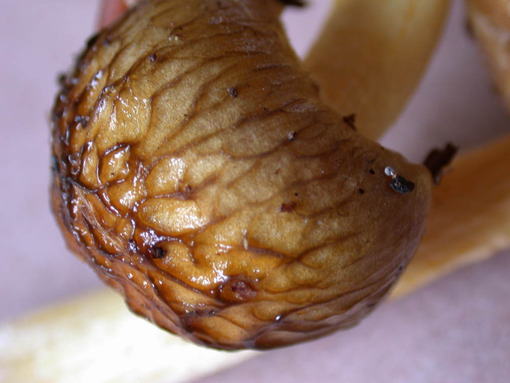 Pi� di cosi... QUIZ